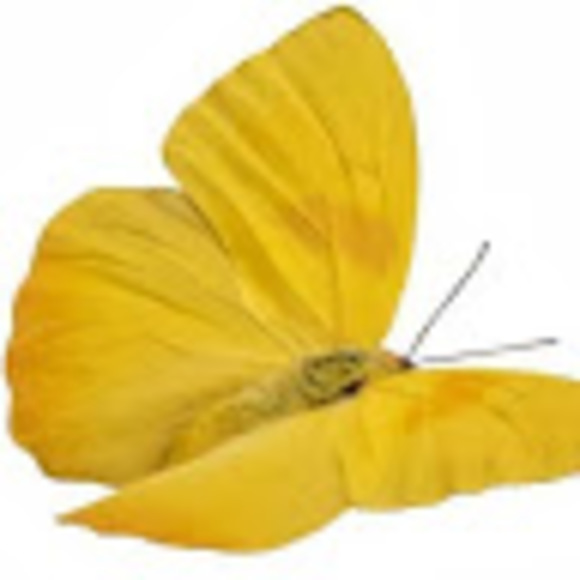 mariposasd